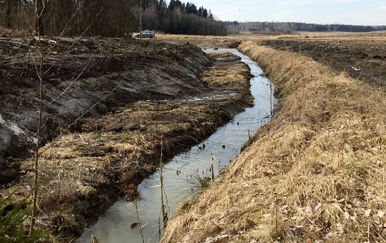 Kaksitasouoma vastarakennettu WWF_556